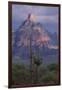 Cactus and Picacho Peak-DLILLC-Framed Photographic Print