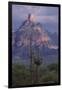 Cactus and Picacho Peak-DLILLC-Framed Photographic Print