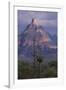 Cactus and Picacho Peak-DLILLC-Framed Photographic Print