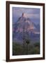 Cactus and Picacho Peak-DLILLC-Framed Photographic Print