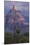 Cactus and Picacho Peak-DLILLC-Mounted Photographic Print