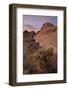 Cactus and Sandstone Formations at Dawn, Valley of Fire State Park, Nevada-James Hager-Framed Photographic Print