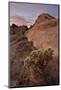 Cactus and Sandstone Formations at Dawn, Valley of Fire State Park, Nevada-James Hager-Mounted Photographic Print