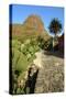 Cactus and Street in Masca, Tenerife, Canary Islands, 2007-Peter Thompson-Stretched Canvas