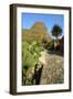 Cactus and Street in Masca, Tenerife, Canary Islands, 2007-Peter Thompson-Framed Photographic Print