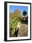 Cactus and Street in Masca, Tenerife, Canary Islands, 2007-Peter Thompson-Framed Photographic Print