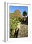 Cactus and Street in Masca, Tenerife, Canary Islands, 2007-Peter Thompson-Framed Photographic Print