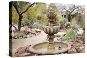 Cactus and Succulent Garden with Water Fountain, Tucson, Arizona, USA-Jamie & Judy Wild-Stretched Canvas