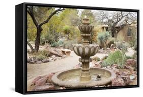 Cactus and Succulent Garden with Water Fountain, Tucson, Arizona, USA-Jamie & Judy Wild-Framed Stretched Canvas