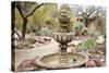 Cactus and Succulent Garden with Water Fountain, Tucson, Arizona, USA-Jamie & Judy Wild-Stretched Canvas
