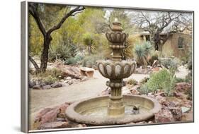 Cactus and Succulent Garden with Water Fountain, Tucson, Arizona, USA-Jamie & Judy Wild-Framed Photographic Print