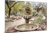 Cactus and Succulent Garden with Water Fountain, Tucson, Arizona, USA-Jamie & Judy Wild-Mounted Photographic Print