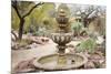 Cactus and Succulent Garden with Water Fountain, Tucson, Arizona, USA-Jamie & Judy Wild-Mounted Photographic Print