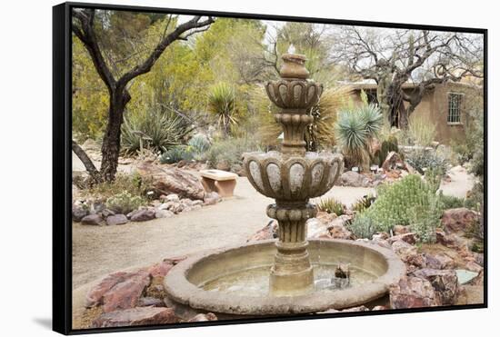 Cactus and Succulent Garden with Water Fountain, Tucson, Arizona, USA-Jamie & Judy Wild-Framed Stretched Canvas