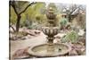 Cactus and Succulent Garden with Water Fountain, Tucson, Arizona, USA-Jamie & Judy Wild-Stretched Canvas