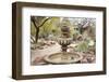 Cactus and Succulent Garden with Water Fountain, Tucson, Arizona, USA-Jamie & Judy Wild-Framed Photographic Print