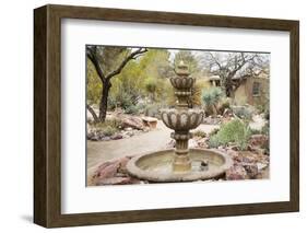 Cactus and Succulent Garden with Water Fountain, Tucson, Arizona, USA-Jamie & Judy Wild-Framed Photographic Print