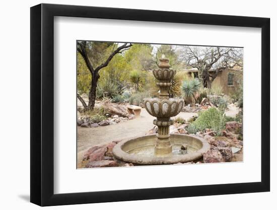 Cactus and Succulent Garden with Water Fountain, Tucson, Arizona, USA-Jamie & Judy Wild-Framed Photographic Print