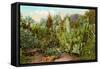 Cactus and Succulent Garden-null-Framed Stretched Canvas