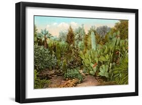 Cactus and Succulent Garden-null-Framed Art Print