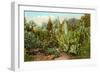 Cactus and Succulent Garden-null-Framed Art Print