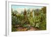 Cactus and Succulent Garden-null-Framed Art Print