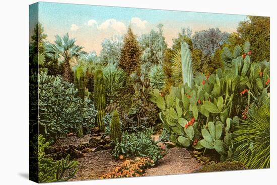 Cactus and Succulent Garden-null-Stretched Canvas