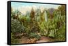 Cactus and Succulent Garden-null-Framed Stretched Canvas