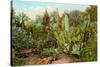 Cactus and Succulent Garden-null-Stretched Canvas