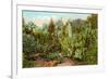 Cactus and Succulent Garden-null-Framed Premium Giclee Print