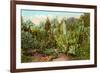 Cactus and Succulent Garden-null-Framed Premium Giclee Print