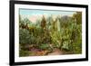 Cactus and Succulent Garden-null-Framed Premium Giclee Print