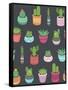 Cactus and Succulent Plants Seamless Pattern-Soodowoodo-Framed Stretched Canvas