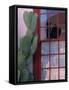 Cactus and Window, Barrio District, Tucson, Arizona, USA-Joanne Wells-Framed Stretched Canvas