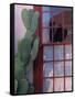 Cactus and Window, Barrio District, Tucson, Arizona, USA-Joanne Wells-Framed Stretched Canvas