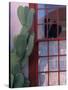 Cactus and Window, Barrio District, Tucson, Arizona, USA-Joanne Wells-Stretched Canvas