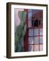 Cactus and Window, Barrio District, Tucson, Arizona, USA-Joanne Wells-Framed Photographic Print