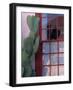 Cactus and Window, Barrio District, Tucson, Arizona, USA-Joanne Wells-Framed Photographic Print