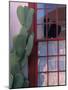 Cactus and Window, Barrio District, Tucson, Arizona, USA-Joanne Wells-Mounted Photographic Print