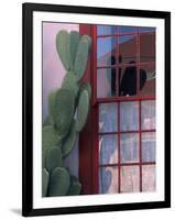 Cactus and Window, Barrio District, Tucson, Arizona, USA-Joanne Wells-Framed Photographic Print