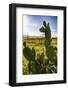 Cactus And Yellow Poppies-George Oze-Framed Photographic Print