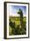 Cactus And Yellow Poppies-George Oze-Framed Photographic Print