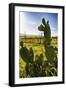 Cactus And Yellow Poppies-George Oze-Framed Photographic Print