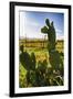 Cactus And Yellow Poppies-George Oze-Framed Photographic Print
