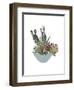 Cactus Arrangement I-Melissa Wang-Framed Art Print