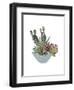 Cactus Arrangement I-Melissa Wang-Framed Art Print
