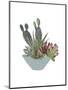 Cactus Arrangement I-Melissa Wang-Mounted Art Print