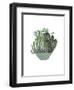 Cactus Arrangement II-Melissa Wang-Framed Art Print