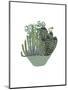 Cactus Arrangement II-Melissa Wang-Mounted Art Print