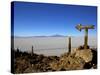 Cactus Arrow on Isla de Los Pescadores, Volcan Tunupa and Salt Flats, Salar de Uyuni, Bolivia-Simon Montgomery-Stretched Canvas